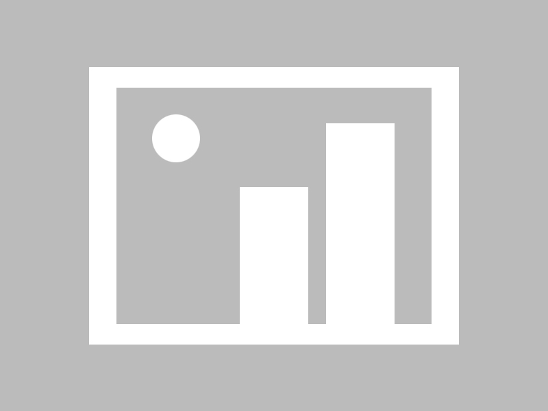 爱尔兰女子队迎来历史性突破，成为焦点，爱尔兰女子篮球u20