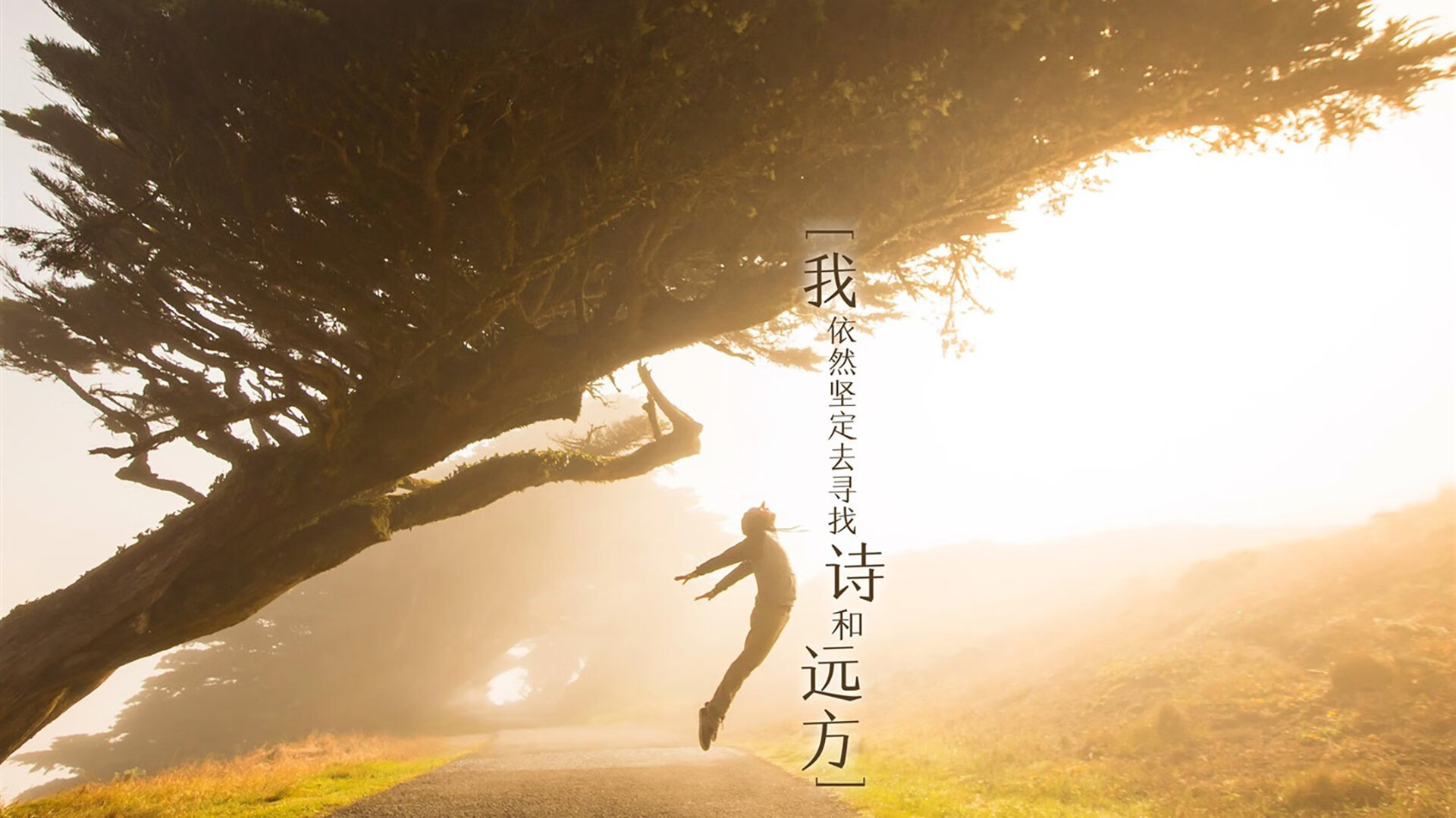 开云体育在线登入-NBA球员赛季表现复盘报告，nba本赛季球员得分