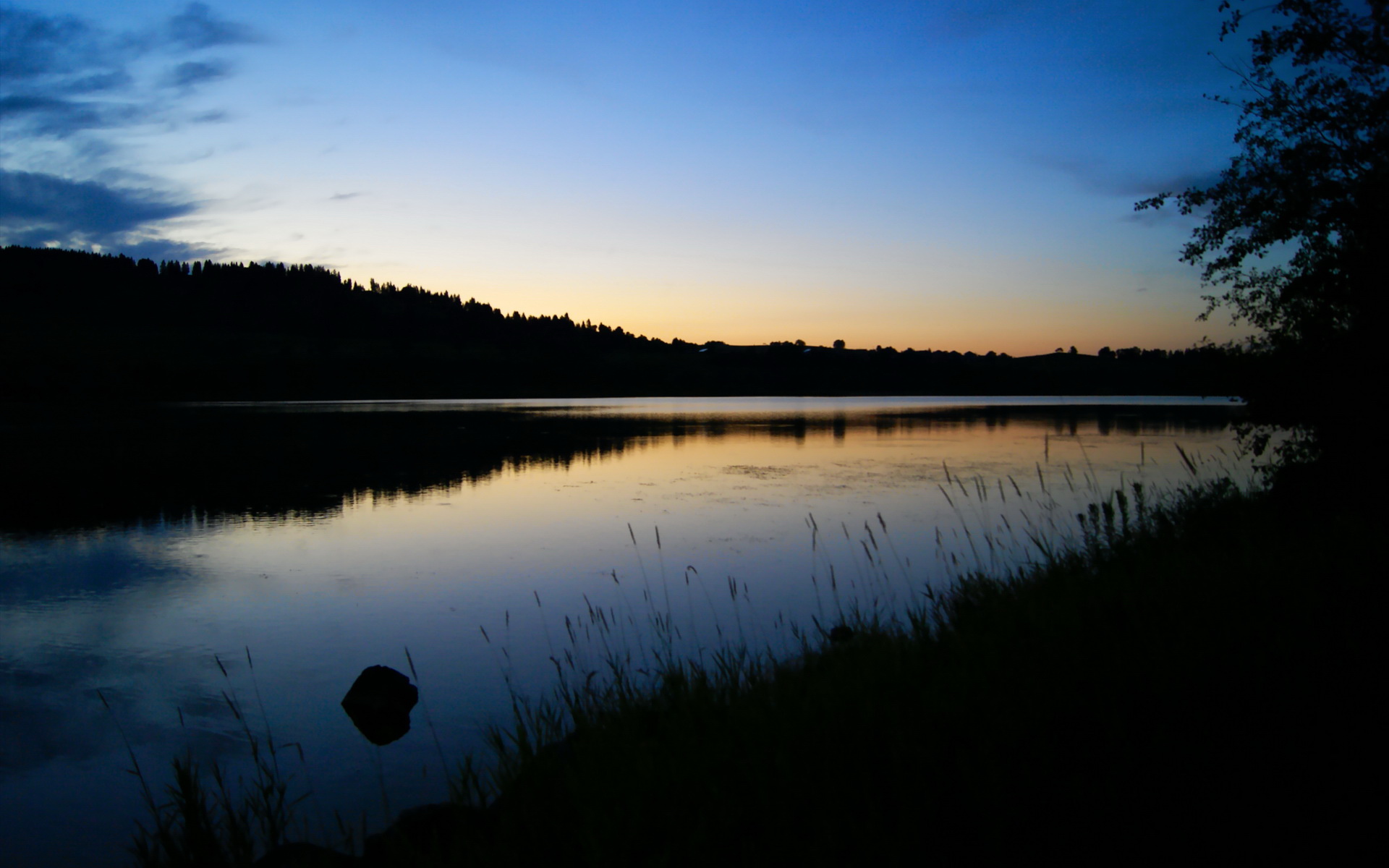 教练战术创新获赞,球队进攻效率显著提高,教练球技
