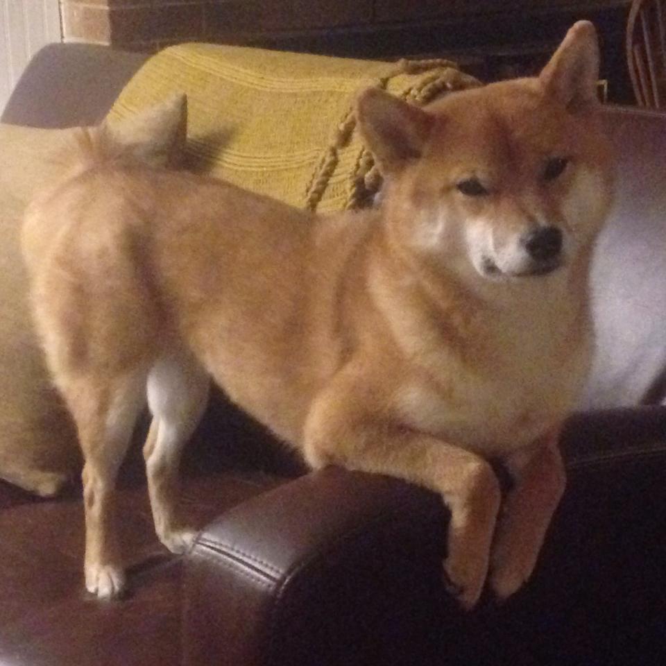 开云体育下载-皮特·斯图斯：多次关键抢断让南非防线保持压倒性优势，皮特温特斯坦