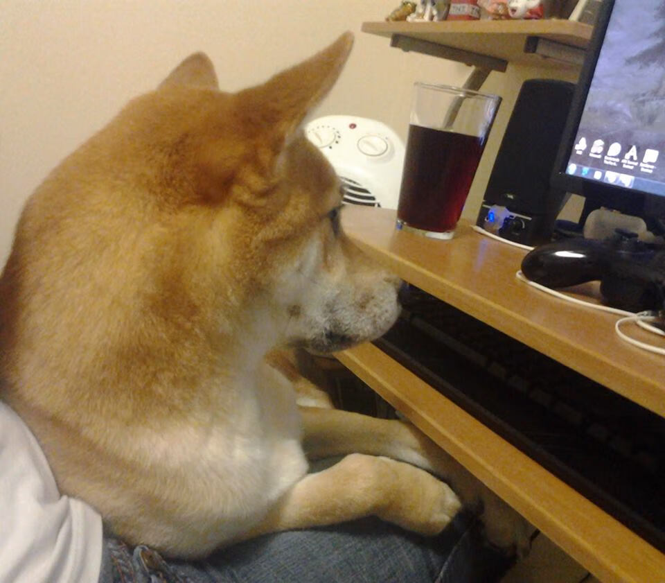 开云体育登录-西甲火力全开：连续破门，震撼全场！，西甲连胜纪录